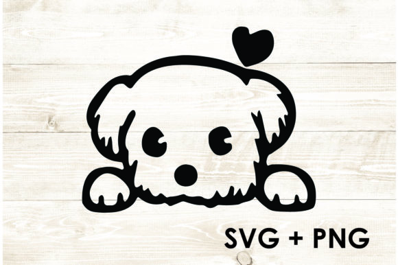 Adorable Dog with Heart
