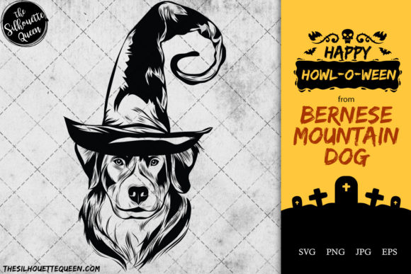 Bernese Mountain Dog in Witch Hat